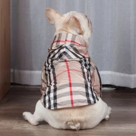 Dog jacket Stripped Windbreaker from FashionedFurBabies.com - Picture 1 of 5